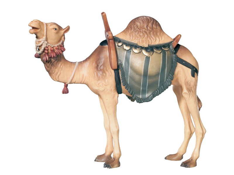 Kamel ohne Bodenplatte 12 cm lasiert
